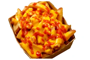 Cheese-Fries-Image