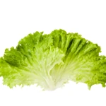 Lettuce-Image