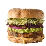 Veggie-Burger-Image